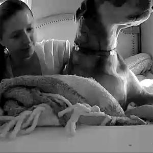 Meet your Posher, Shannon